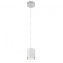 WAC US PD-W2605-WT - TUBE Outdoor Pendant Light