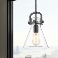 APP-410-1SS-BK-G411-8CL_2.jpg