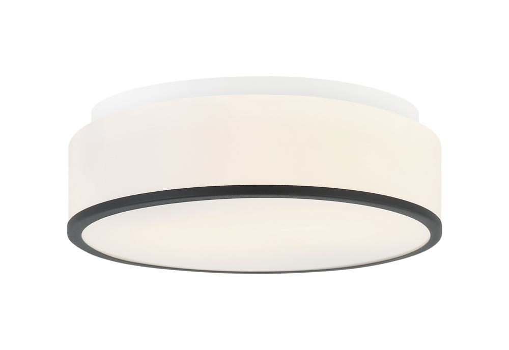 Echo Matte Black Ceiling Mount