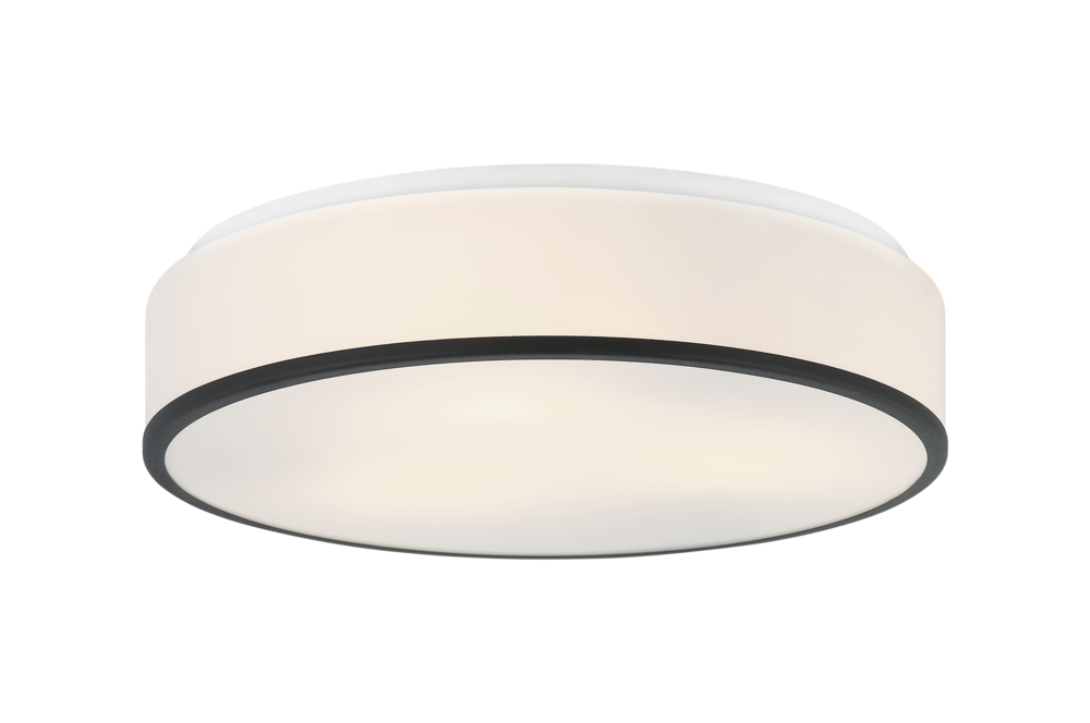 Echo Matte Black Ceiling Mount