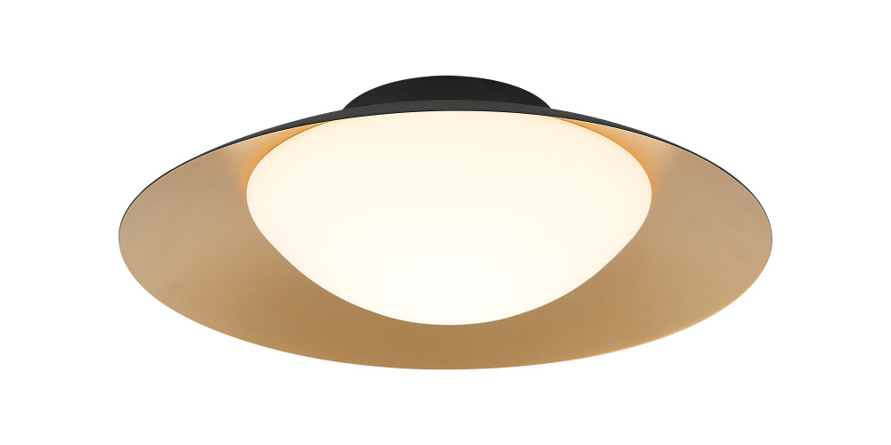 Caravon Matte Black Ceiling Mount