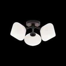 Matteo Lighting X81743BKOP - Novo Black Ceiling Mount